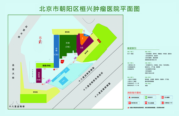 鸡巴插日本逼北京市朝阳区桓兴肿瘤医院平面图